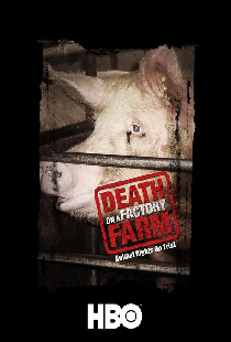 Death on a Factory Farm