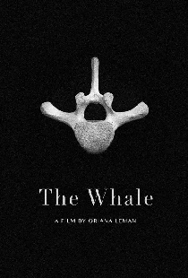 The Whale