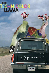 Technicolor Llama