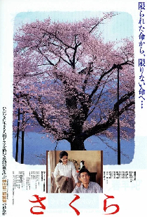 さくら
