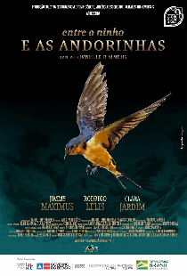 Entre o Ninho e as Andorinhas