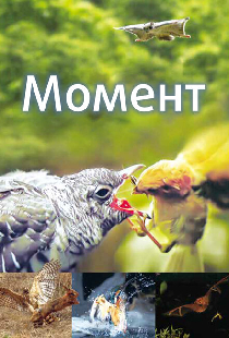Момент