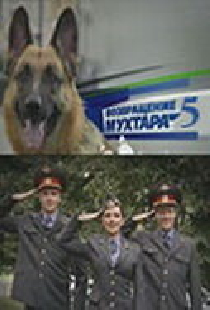 Возвращение Мухтара 5