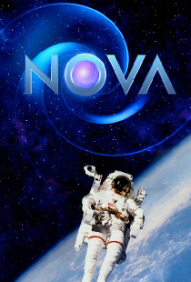 Новая звезда
