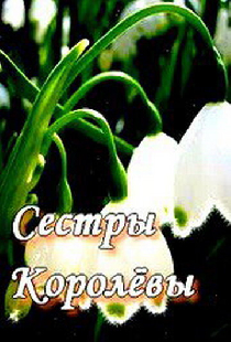 Сестры Королевы