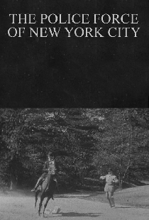 The Police Force of New York City
