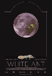 White Ant