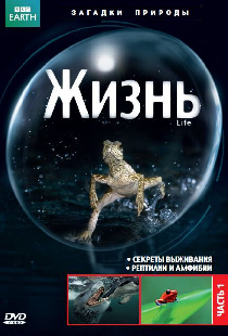 BBC: Жизнь