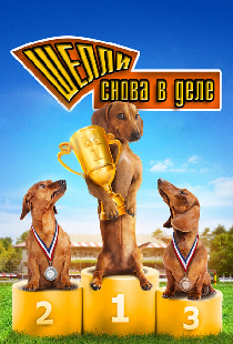 Шелли снова в деле: Часть 1