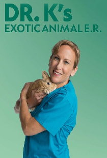Dr K's Exotic Animal ER