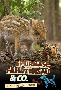 Нюхач, Следопыт и компания