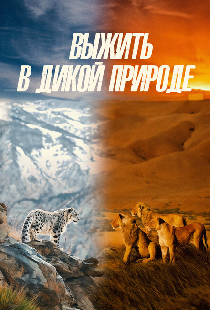 Выжить в дикой природе