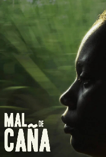 Mal de caña