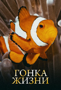Гонка жизни