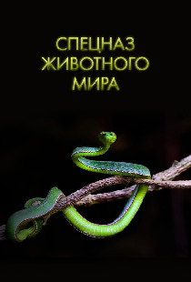 Спецназ животного мира