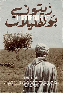 L'Olivier de Boulhilet