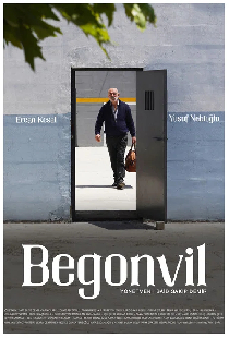 Begonvil