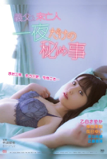 義父と未亡人 一夜だけの秘め事