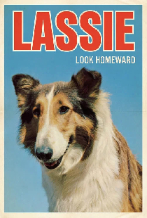 Look Homeward