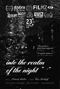 Into the Realm of the Night