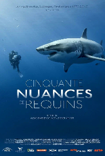 Cinquante nuances de requins