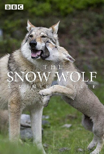 The Snow Wolf: A Winter's Tale