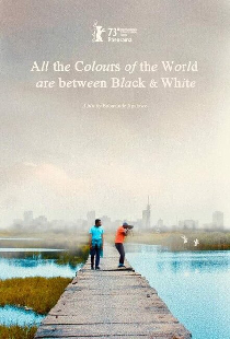 All the Colours of the World Are Between Black and White