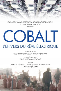 Cobalt, l'envers du rêve électrique