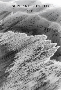 Surf and Seaweed