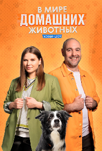 В мире домашних животных