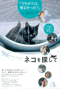 La voie du chat