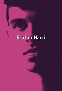 Bird in Hand