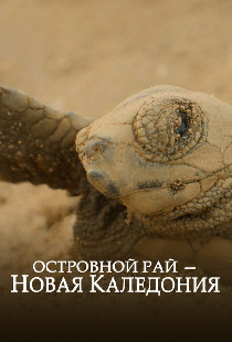 Островной рай – Новая Каледония
