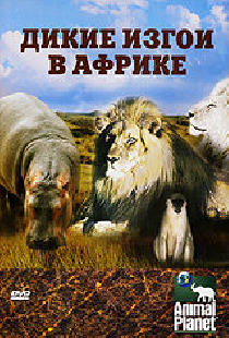 Animal Planet: Дикие изгои в Африке