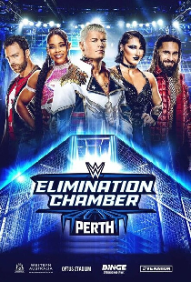 WWE Камера ликвидации