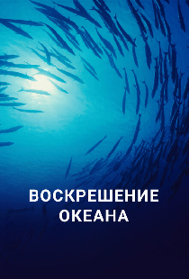 Воскрешение океана