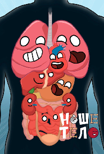 Наше тело