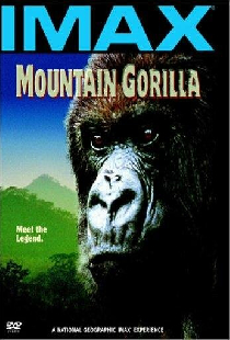 Mountain Gorilla