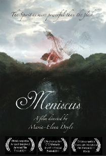 Meniscus