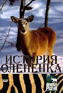 История олененка