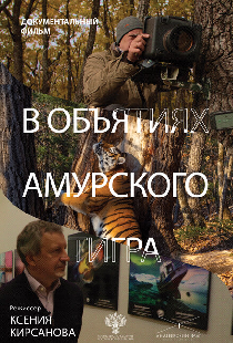 В объятиях амурского тигра