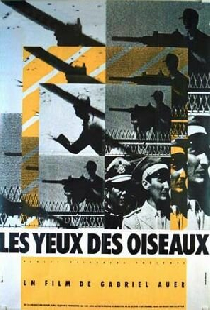 Les yeux des oiseaux
