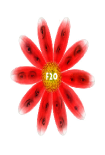 F20
