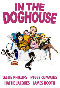 In the Doghouse