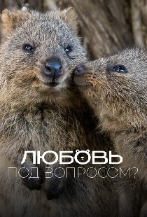 Любовь под вопросом?