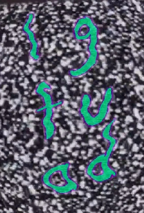 LGFUAD