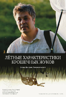 Летные характеристики крошечных жуков