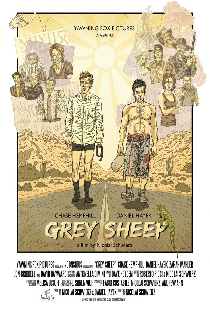 Grey Sheep