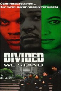 Divided We Stand