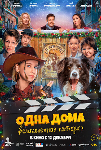 Одна дома: Великолепная пятерка
